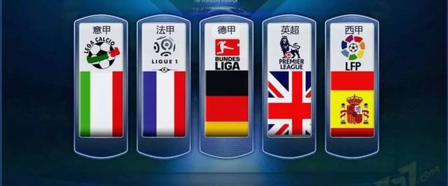 它不僅展示 它不僅展示