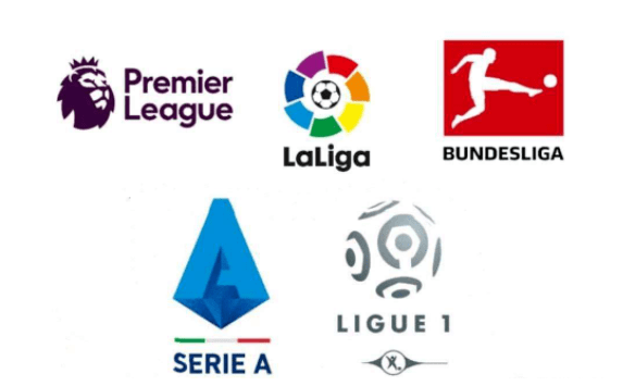 引进科雷亚 引进科雷亚